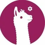 Llama Leisure